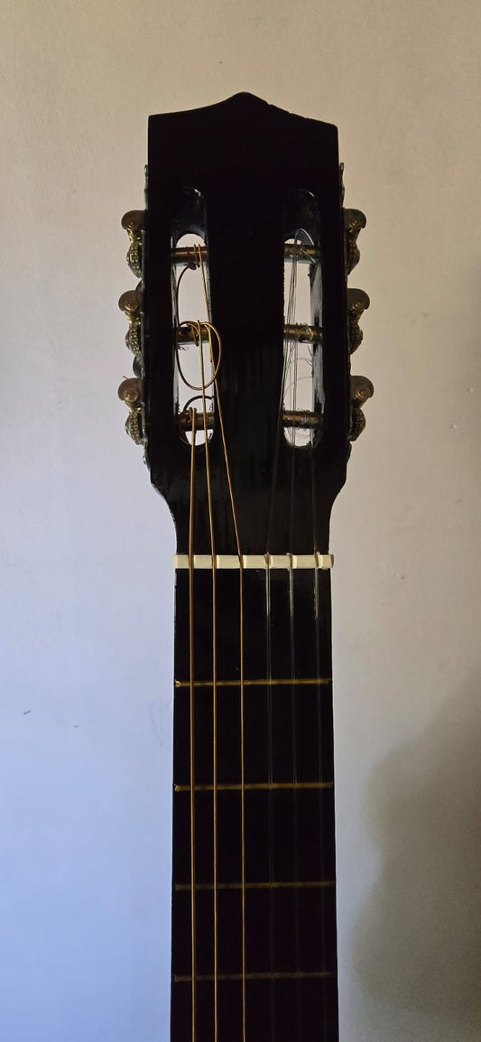 Guitarra estandar